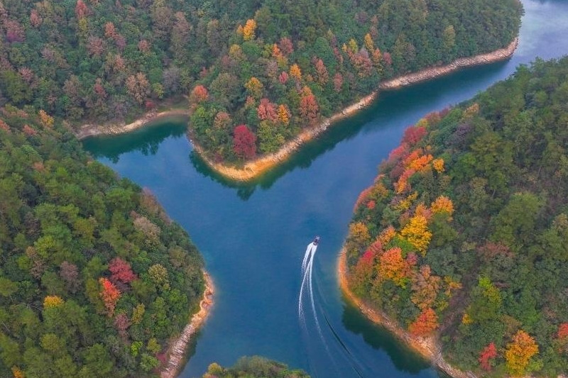 㽭ǧuuZɫʰߔ̾ɫ箋